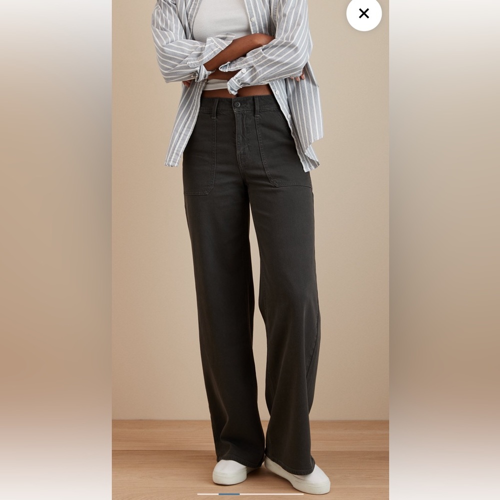 AE Wide Legged Dream Drape Pant